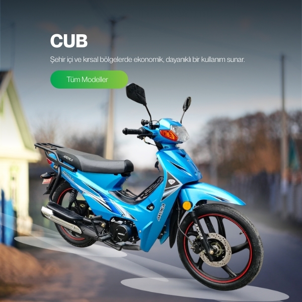 Arora Cub Motosiklet Modelleri